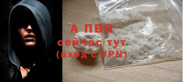 гашик Алексин