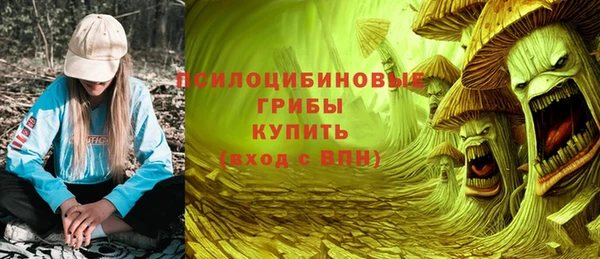 гидра Алзамай