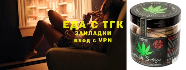 гашик Алексин