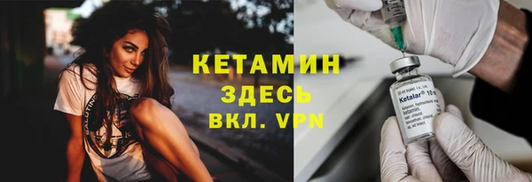 гашик Алексин