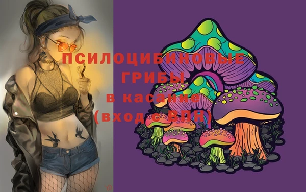 гашик Алексин