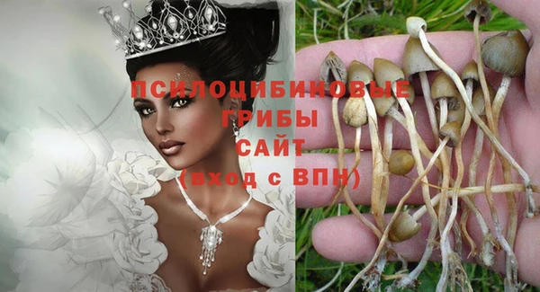 гидра Алзамай