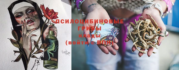 гидра Алзамай