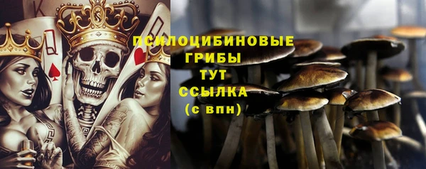 эйфоретик Алексеевка