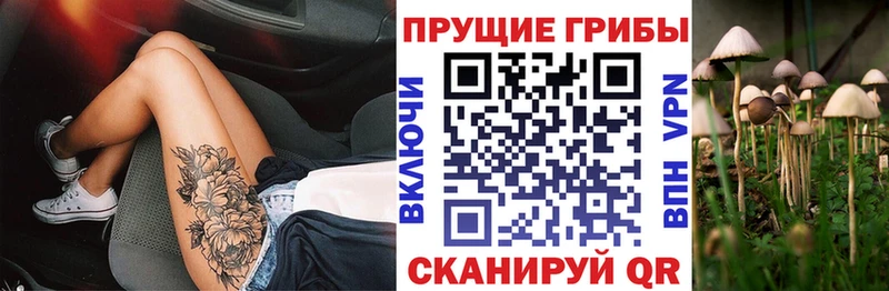 Галлюциногенные грибы мицелий дарнет шоп Лагань